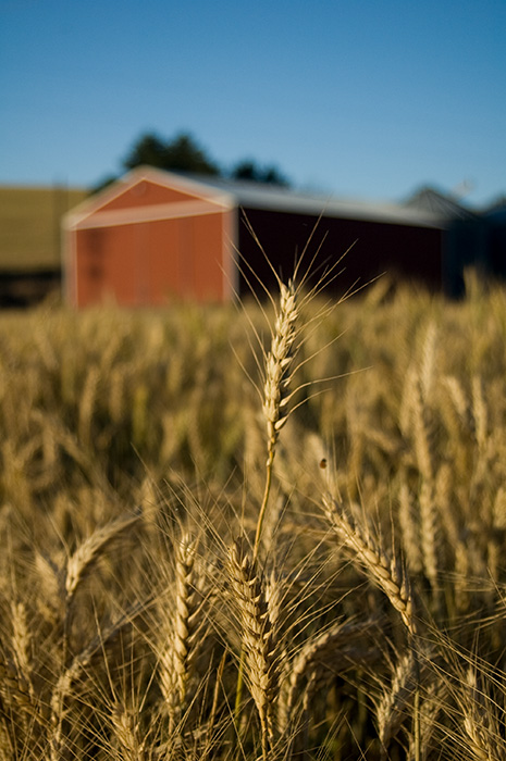 Eastern Washington, 2010