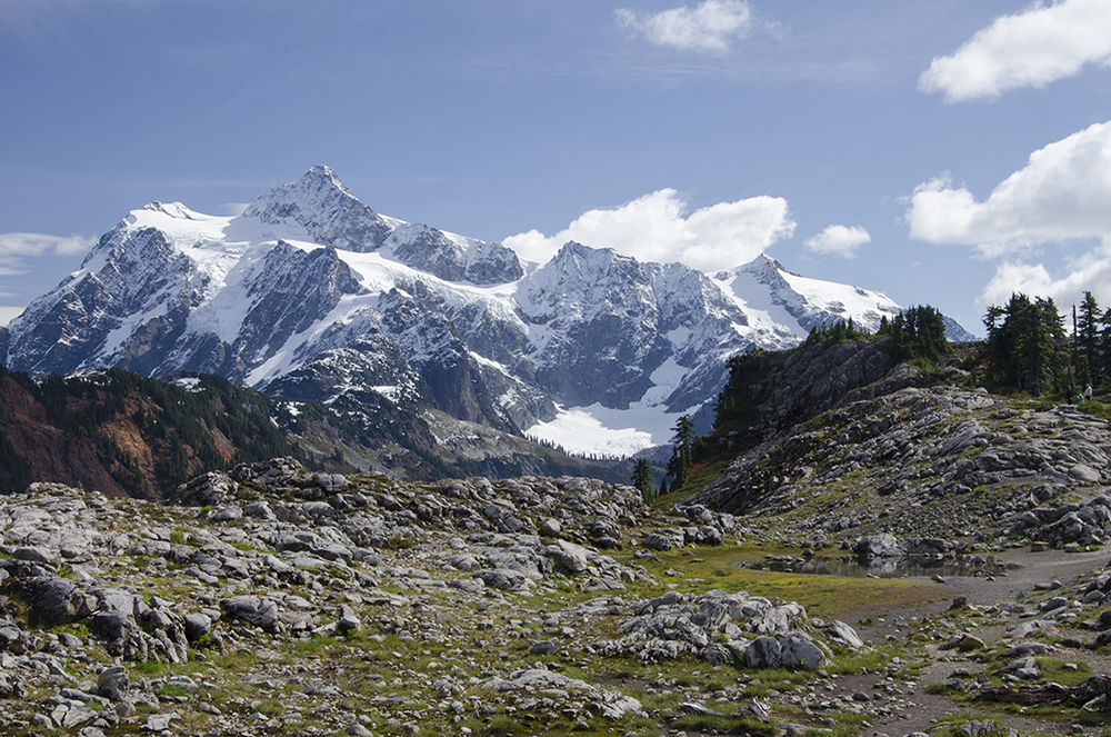 Shuksan, 2009